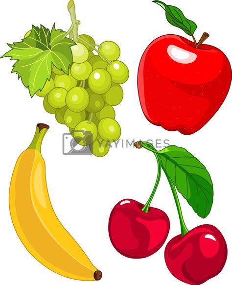 cartoon fruit set  dazdraperma vectors illustrations  unlimited downloads yayimages