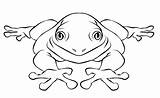 Printable Frogs Library Anaxyrus Coloringfolder sketch template