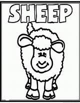 Lambs Coloring Pages sketch template