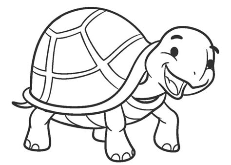 turtle coloring pages  kids visual arts ideas