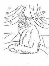 Coon Coloring Maine Pages Cat sketch template