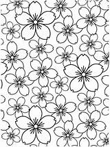 Cherry Blossom Embossing Folder Background Darice 123stitch Sold sketch template