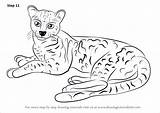 Margay Draw Step Cats Drawing Necessary Improvements Finally Finish Make Tutorials sketch template