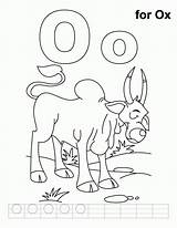 Ox Coloring Popular sketch template