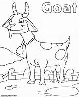 Goat Colorings sketch template