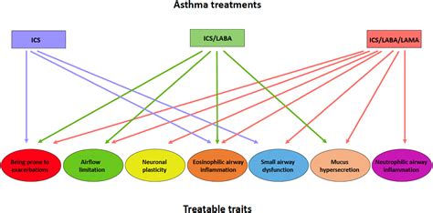 The 5t Approach In Asthma Triple Therapy Targeting Treatable Traits
