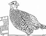 Pheasant Necked Coloring sketch template