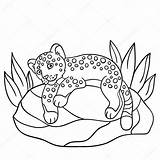 Jaguar Boyama Coloritura Piccolo Bambino Pietra Sveglio Pagine Giaguaro Sulla sketch template