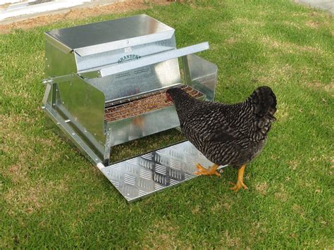 grandpas feeders automatic chicken feeder sturdy galvanized steel poultry feeders  spill