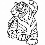 Tiger Coloring Amur Tigre Tigers Colorear Momjunction Designlooter Clipartbest Hermoso Dibujosonline Clipartmag Voorbeeldsjabloon Recent sketch template