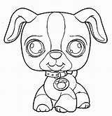 Coloring Pages Pet Shop Littlest Lps Dachshund Dog Printable Print Collie Puppy Cat Color Pets Bunny Getcolorings Coloriage Getdrawings Homey sketch template