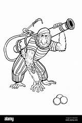 Pirate Clipart Coloring Monkey Alamy Stock Nosed Outline Gun Long sketch template