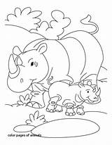Coloring Pages Rhinoceros Baby Rhino Printable Kids Animal Colouring Animals Zoo Color Endangered Rhinos Sheets Cartoon Big Five Print Pointillism sketch template
