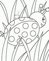 Coloring Ladybug Pages Cute Popular Coloringhome Comments sketch template