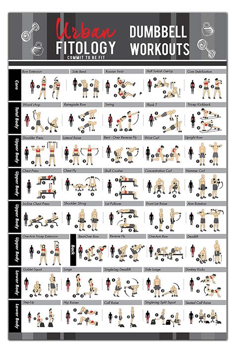 buy dumbbell exercises workout poster now laminated home gym