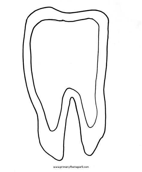 parts   tooth diagram primary theme park