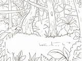 Selva Foresta Bosque Floresta Animados Giungla Bosques Fumetto Vettore Amazonica Livro sketch template