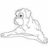 Boxer Coloring Pages Puppy Dog Draw Drawing Fun Drawings Line Cute Colouring Dogs Printable Animal Color Getcolorings Kids Easy Fun2draw sketch template