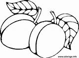 Prunes Prune Colorat Disegni Frutta Abricot Groente Frutas Fructe Imagini Gratuit Coloriages Apricot Abricots Toamna Imprimé sketch template