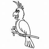 Papagei Malvorlage Malvorlagen Ausmalen Ausmalbilder Fensterbilder Fliegender Ausdrucken Ganzes Kinderbilder Parrot Sammlung Igel Große sketch template