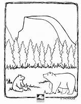 Yosemite Bears Conservancy Anywhere Lora sketch template