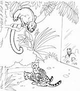 Coloring Pages Monkey Howler Zoo Color Scene Monkeys Jungle Realistic Tree Wildlife Primate Atozkidsstuff Print Animals Sketch 94kb Drawings Popular sketch template