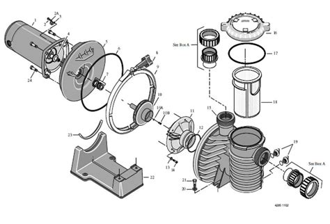 sta rite pump parts diagram hanenhuusholli