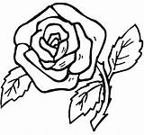 Coloring Rose Pages Printable Popular sketch template