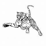 Tiger Coloring Pages Books sketch template