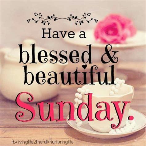 beautiful  blessed sunday pictures   images  facebook tumblr pinterest
