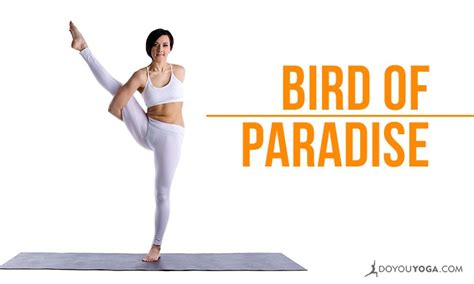 how to do svarga dvijasana bird of paradise pose doyou