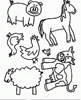 Farm Animal Coloring Animals Old Templates Macdonald Template Pages Had Printable Preschool Felt Puppet Kids Colouring Childhood Color Colour Early sketch template
