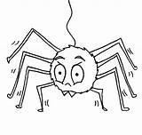 Coloring Spider Insect Cute sketch template