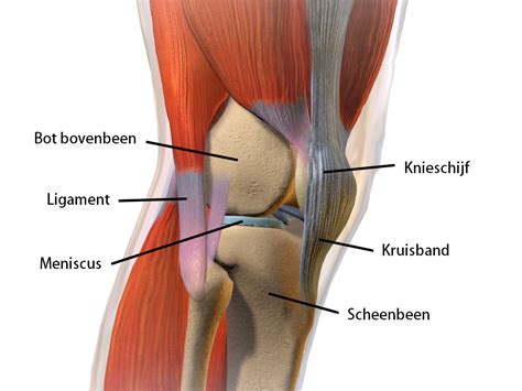 artrose knie symptomen diagnose behandeling oefeningen tips
