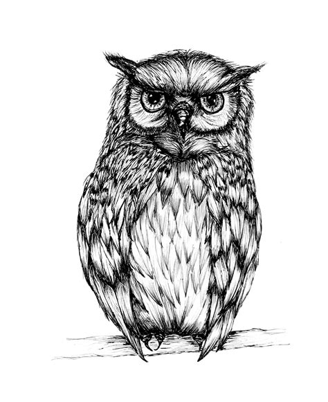 item  unavailable etsy owl art print owls drawing owl art