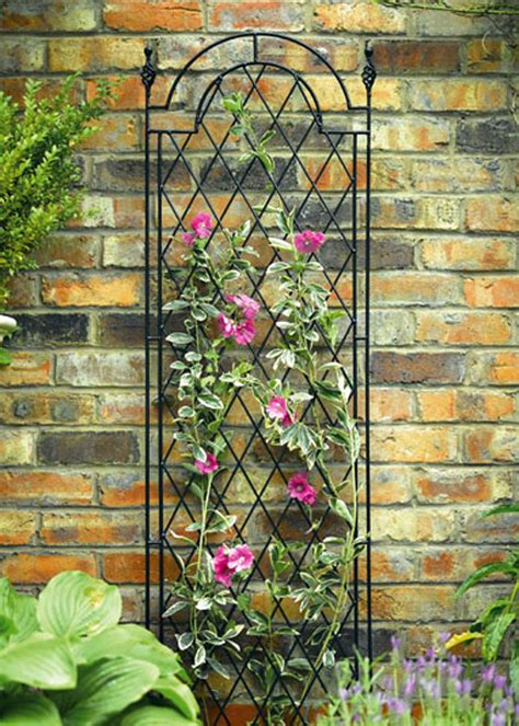 decorative metal wall trellis shelly lighting