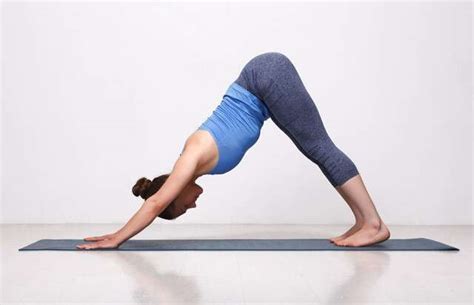 yoga poses    mind  body fit feminain