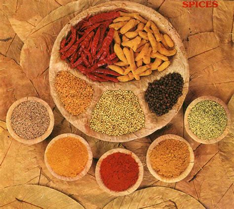 Indian Spices Names In Hindi Spices Glossary