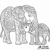 Coloring Elefant Erwachsene Ausmalbild Malvorlagen Ausmalen Malvorlage Elephants Buddha Getcolorings sketch template