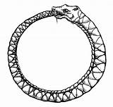 Ouroboros Snake Eating Itself Serpent Drawing Circle Symbol Gods Its Uroboros Mouth Gif Clip Bour3 Clipart Tattoo Snakes Name Biting sketch template