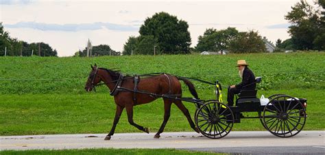 amish country youre kindly welcomed curious craig