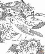 Coloring Pages Garden Flower Print Landscape Oak sketch template