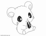 Hamster Coloring Pages Cartoon Seed Sunflower Kids Printable Color sketch template