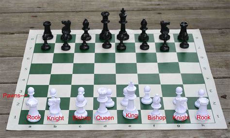 chess    game  kings  rookies