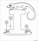 Iguana Letter Coloring Pages Color sketch template