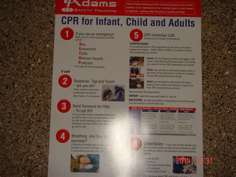 cpr poster  infant child  adults adams safety