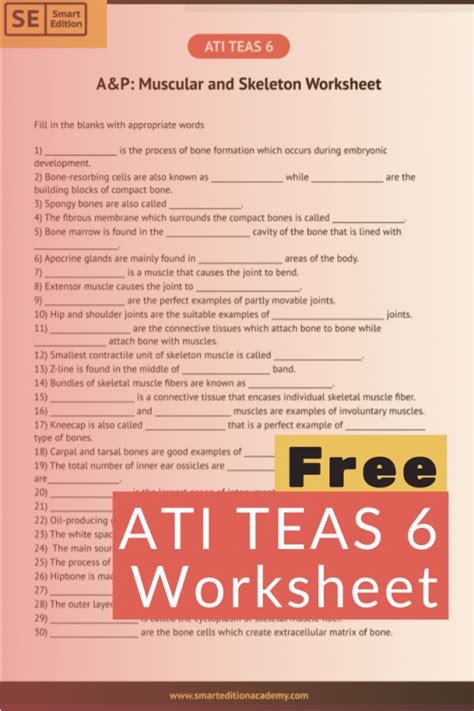 teas math practice worksheet