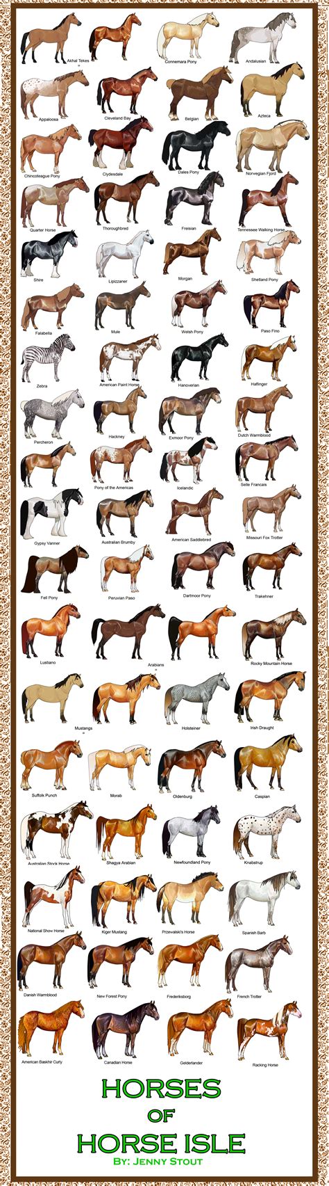 breeds  horse     breeds  catsdogs page