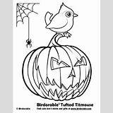 Titmouse Coloring Tufted Bridled sketch template