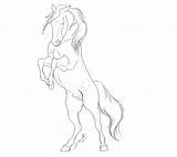 Horse Rearing Coloring Pages Arabian Color Bl sketch template